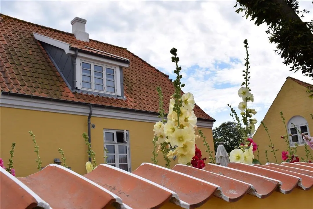 G22.1 skagen north jutland sat 22 jul (11)